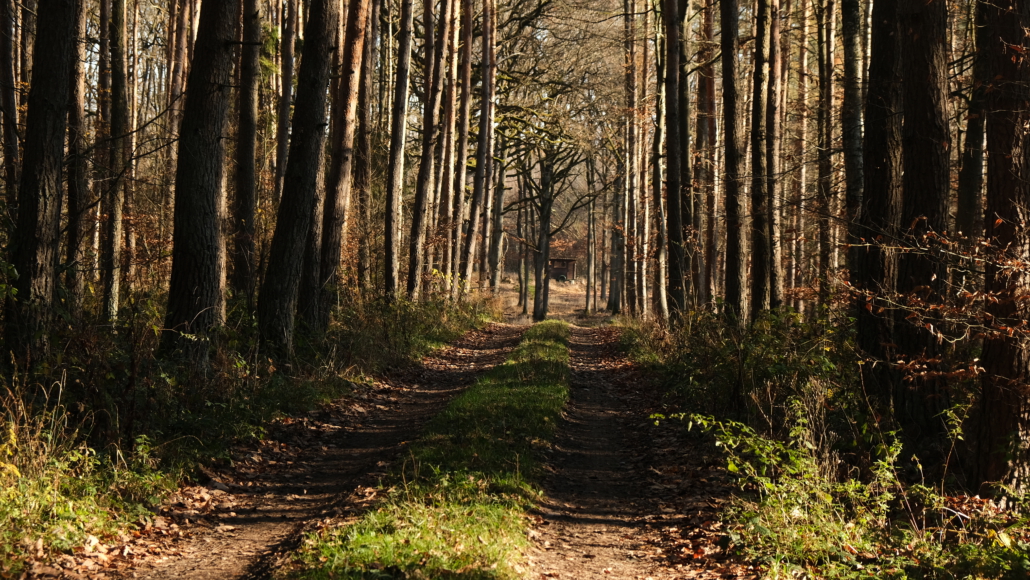 Herbst