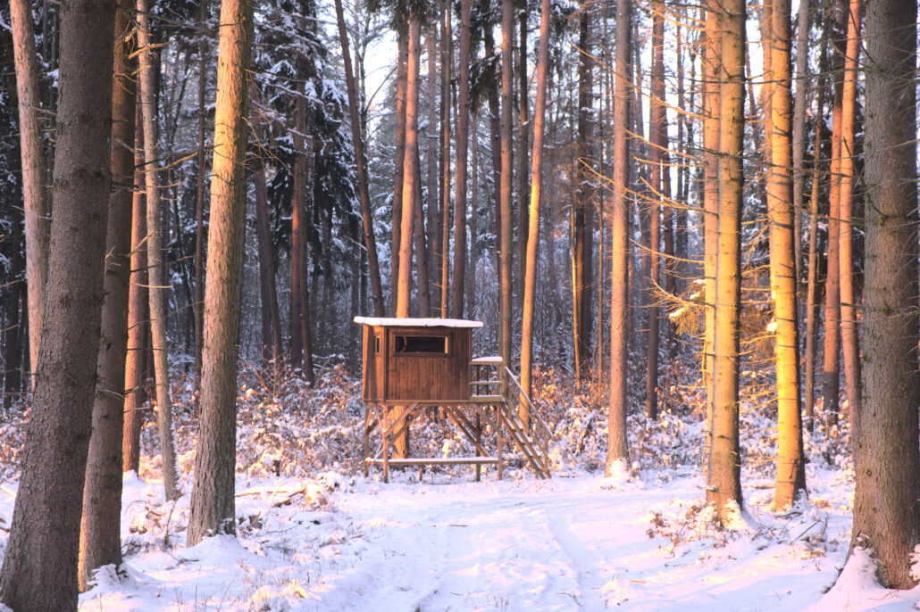 -12°C