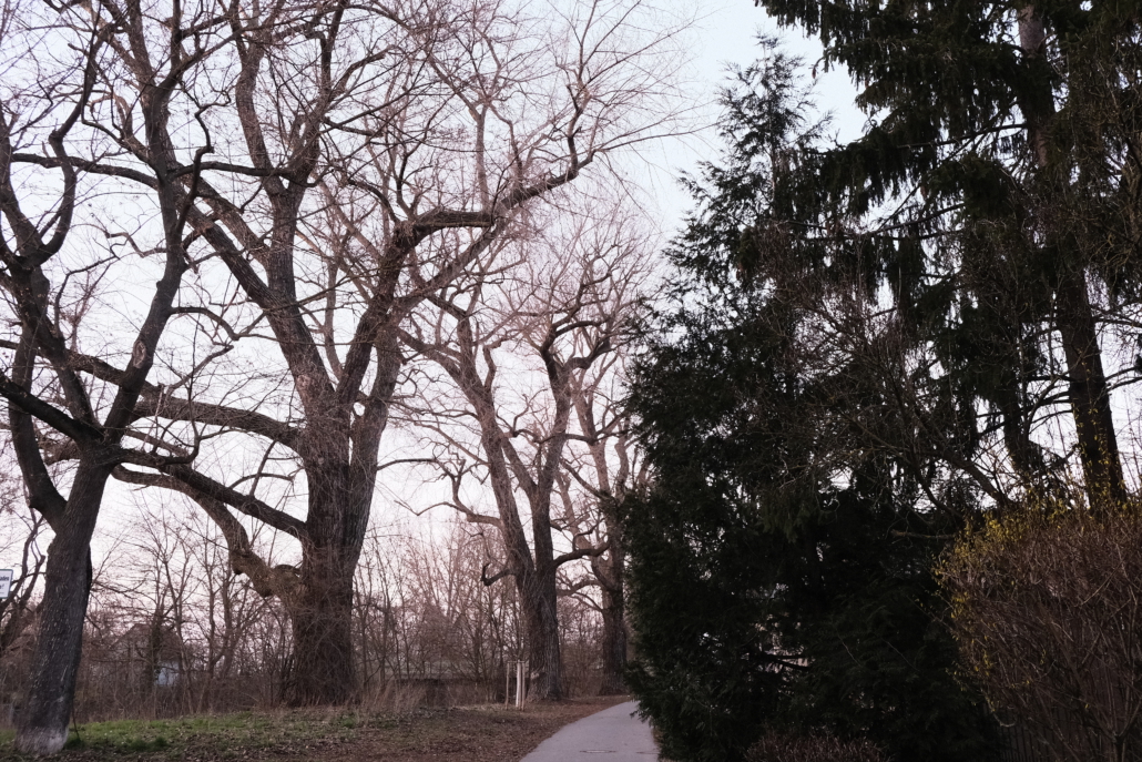 Winter