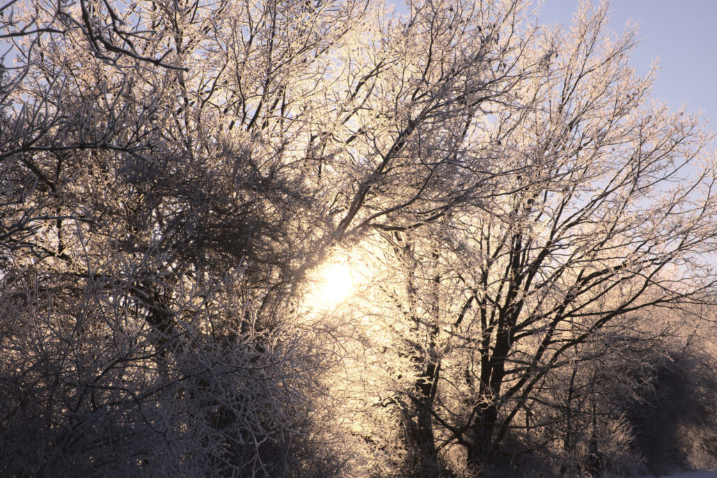 -18°C