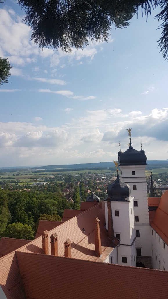 Blick vom Mammutbaum - Scheinfeld