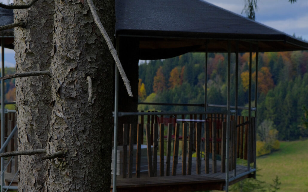 Treehouse