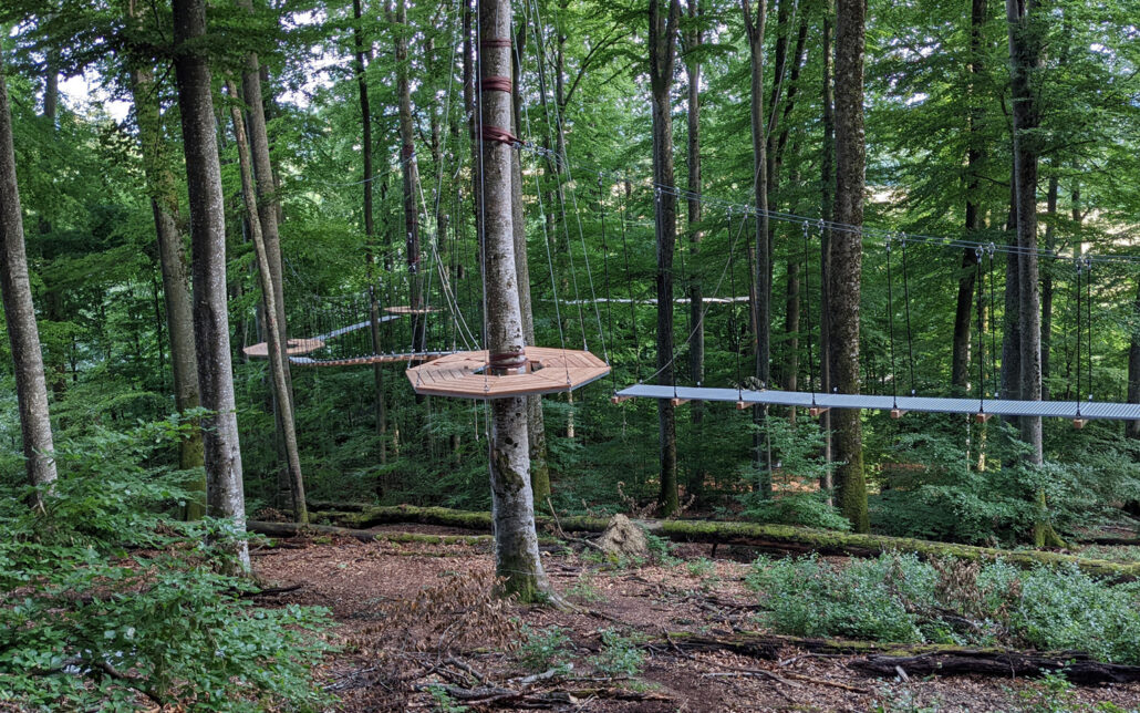 Treewalk-2